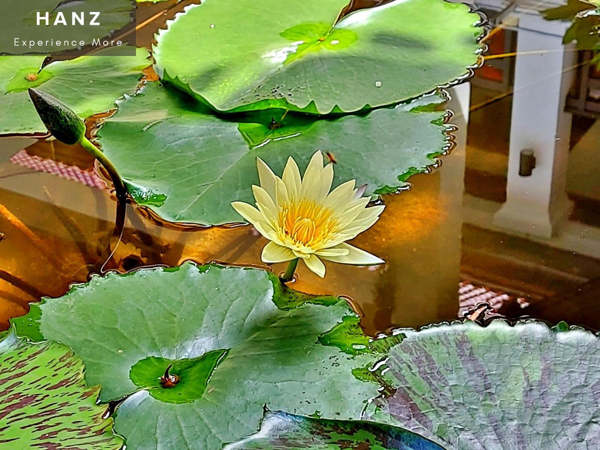 Sunrise Luang Prabang Hotel Bagian luar foto