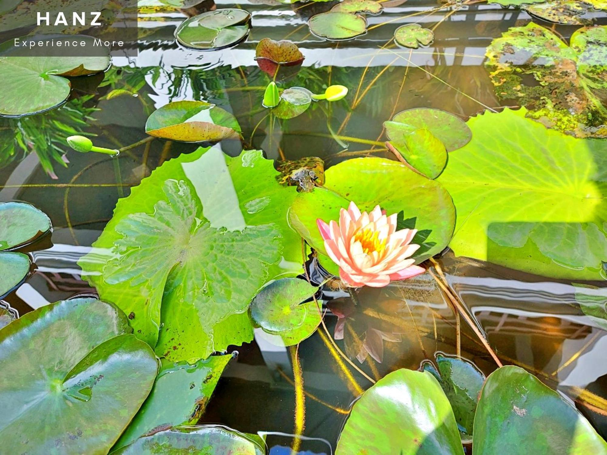 Sunrise Luang Prabang Hotel Bagian luar foto